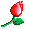 rose :rose:
